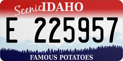 ID license plate E225957