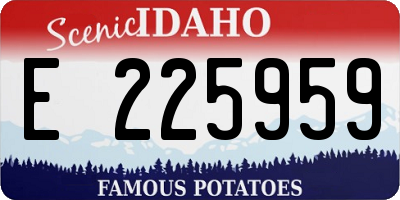ID license plate E225959