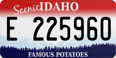 ID license plate E225960