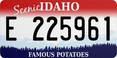 ID license plate E225961
