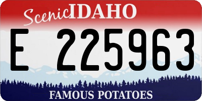 ID license plate E225963