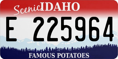 ID license plate E225964