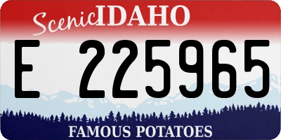 ID license plate E225965