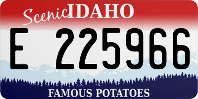 ID license plate E225966
