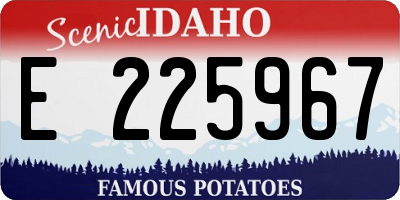 ID license plate E225967