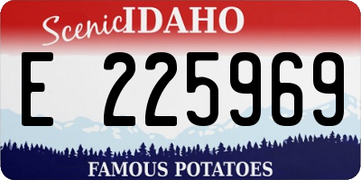 ID license plate E225969