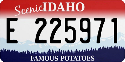 ID license plate E225971