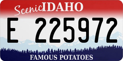 ID license plate E225972