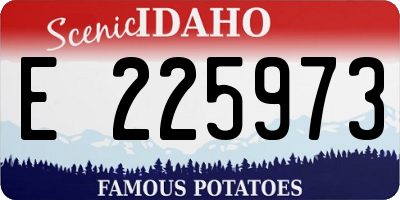 ID license plate E225973