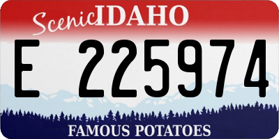 ID license plate E225974
