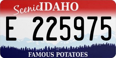 ID license plate E225975