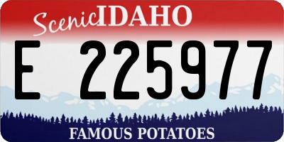 ID license plate E225977