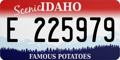 ID license plate E225979