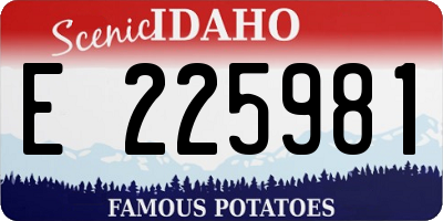 ID license plate E225981
