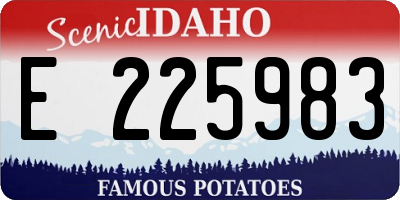 ID license plate E225983