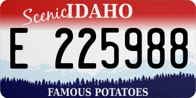 ID license plate E225988