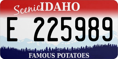 ID license plate E225989