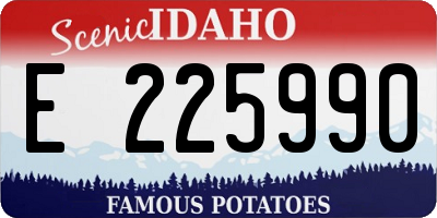 ID license plate E225990