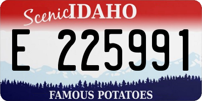 ID license plate E225991