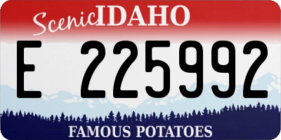 ID license plate E225992