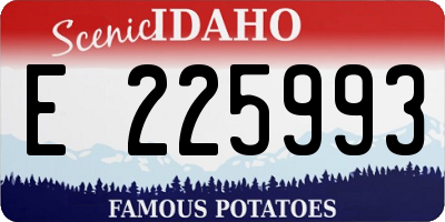 ID license plate E225993
