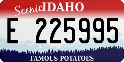 ID license plate E225995