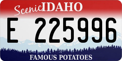 ID license plate E225996