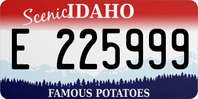 ID license plate E225999