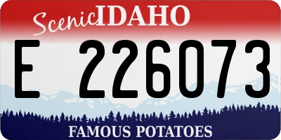 ID license plate E226073