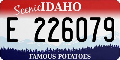 ID license plate E226079