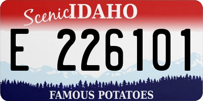 ID license plate E226101