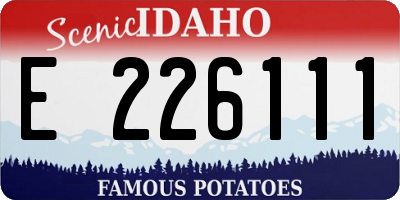 ID license plate E226111