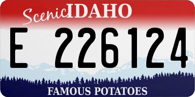 ID license plate E226124