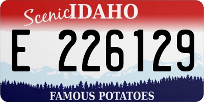 ID license plate E226129