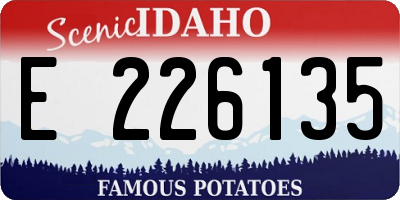 ID license plate E226135