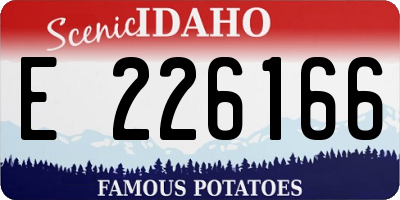 ID license plate E226166