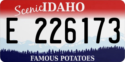 ID license plate E226173