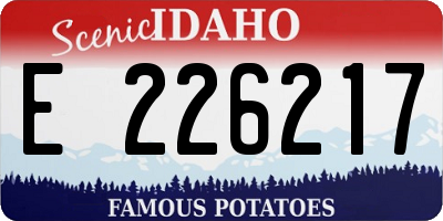 ID license plate E226217