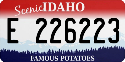 ID license plate E226223
