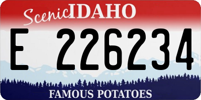 ID license plate E226234