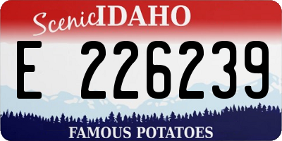 ID license plate E226239