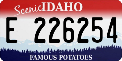 ID license plate E226254