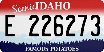 ID license plate E226273