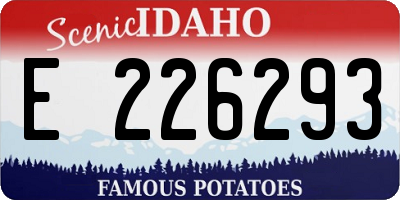 ID license plate E226293
