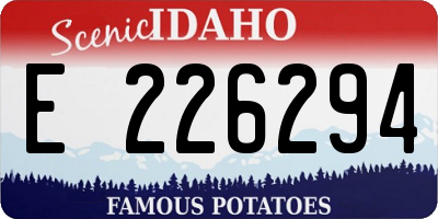 ID license plate E226294