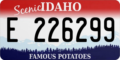 ID license plate E226299