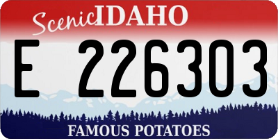 ID license plate E226303