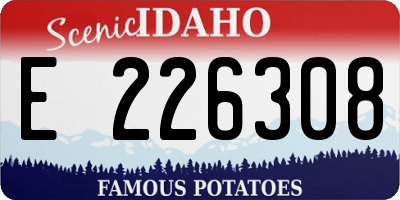 ID license plate E226308