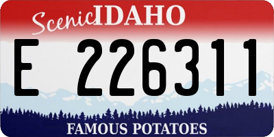 ID license plate E226311