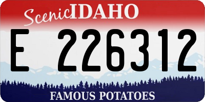 ID license plate E226312